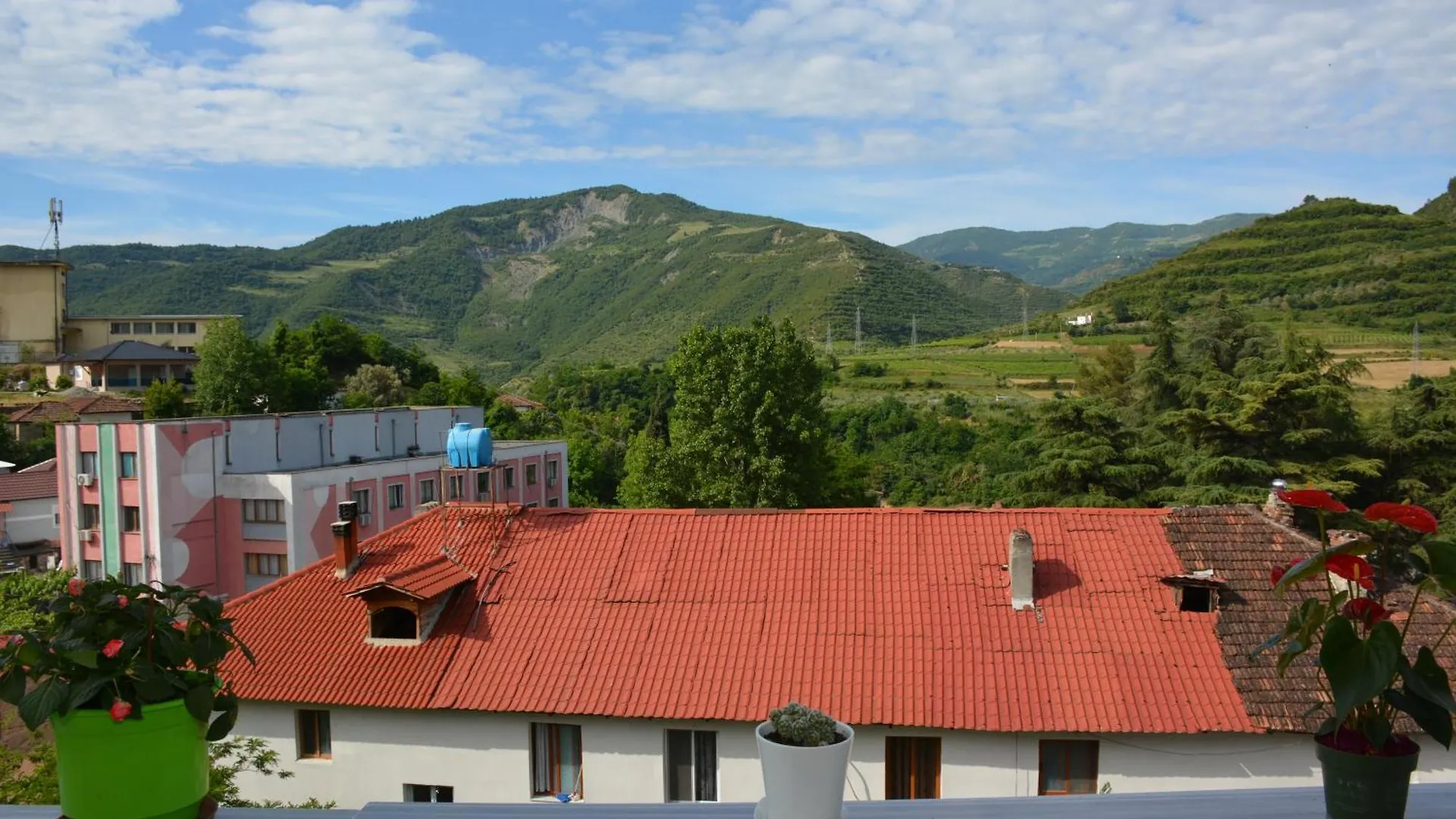 Apartament Cela Zhaban Lägenhet